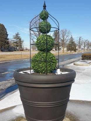 planter with topiary